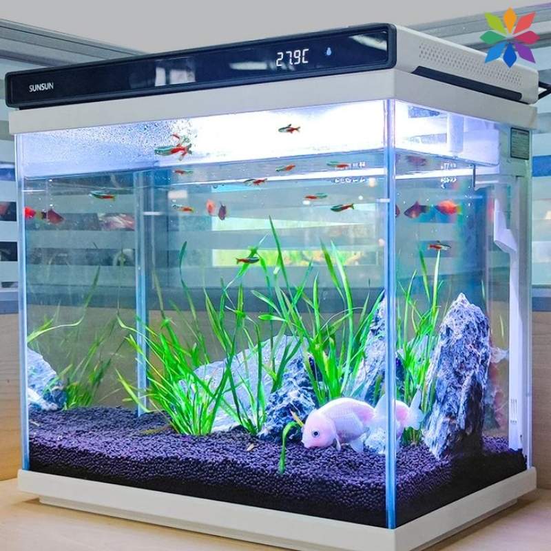 Fish Aquarium Captions For Instagram