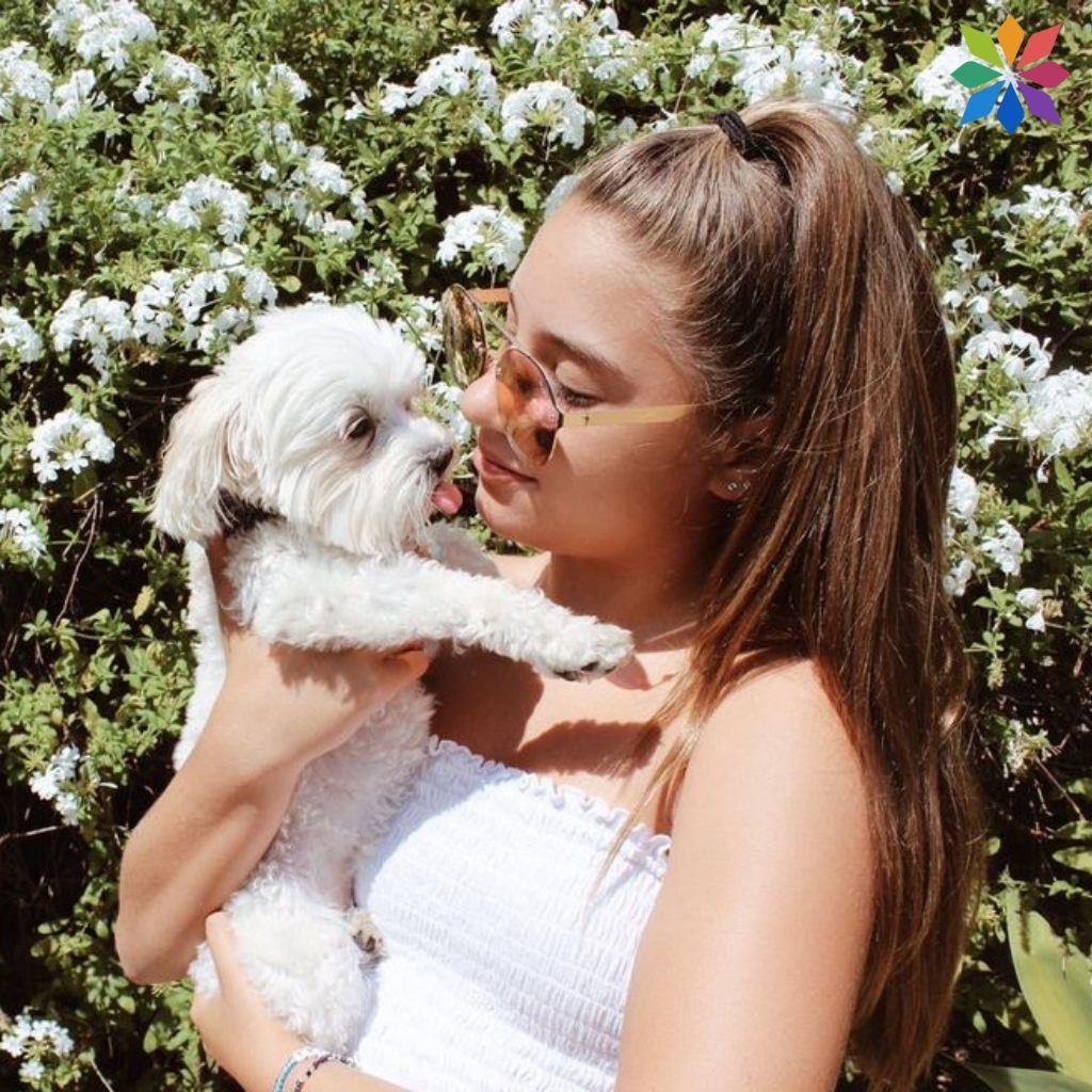 Funny Instagram Captions Dog Captions