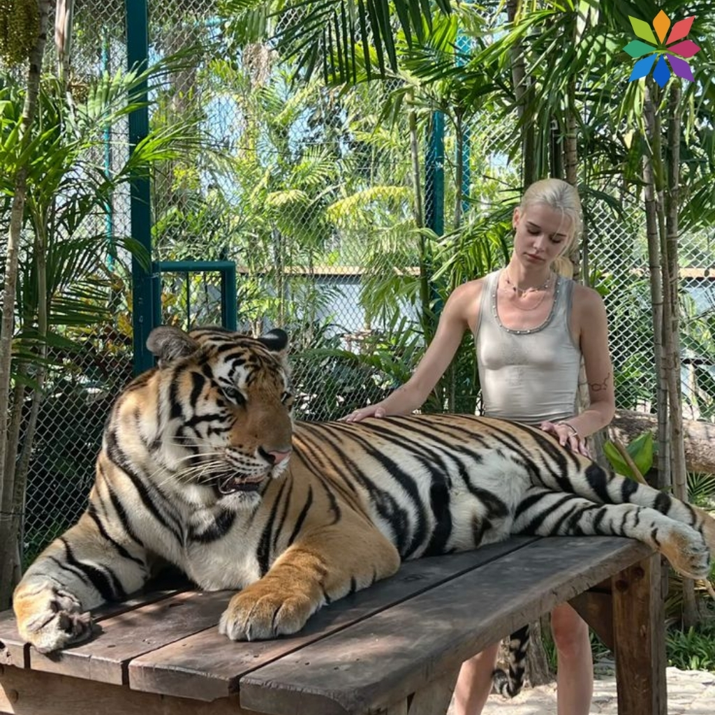 200+ International Tiger Day Captions to Celebrate These Majestic Creatures 19 International Tiger Day Captions